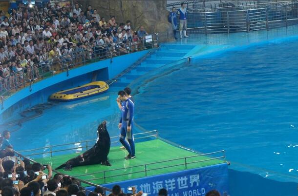 ˮ쾰ĳЩ